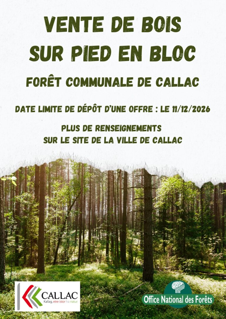 Vente de bois sur pied en bloc.