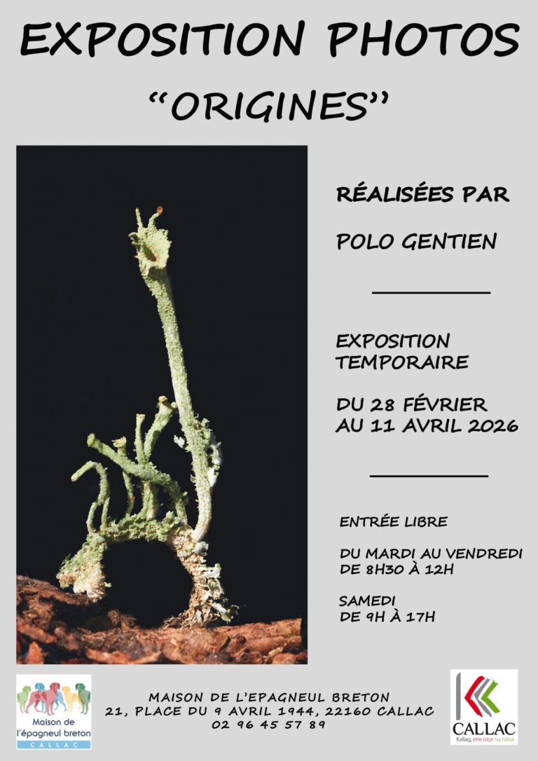 Exposition à la Maison de l&rsquo;épagneul breton.