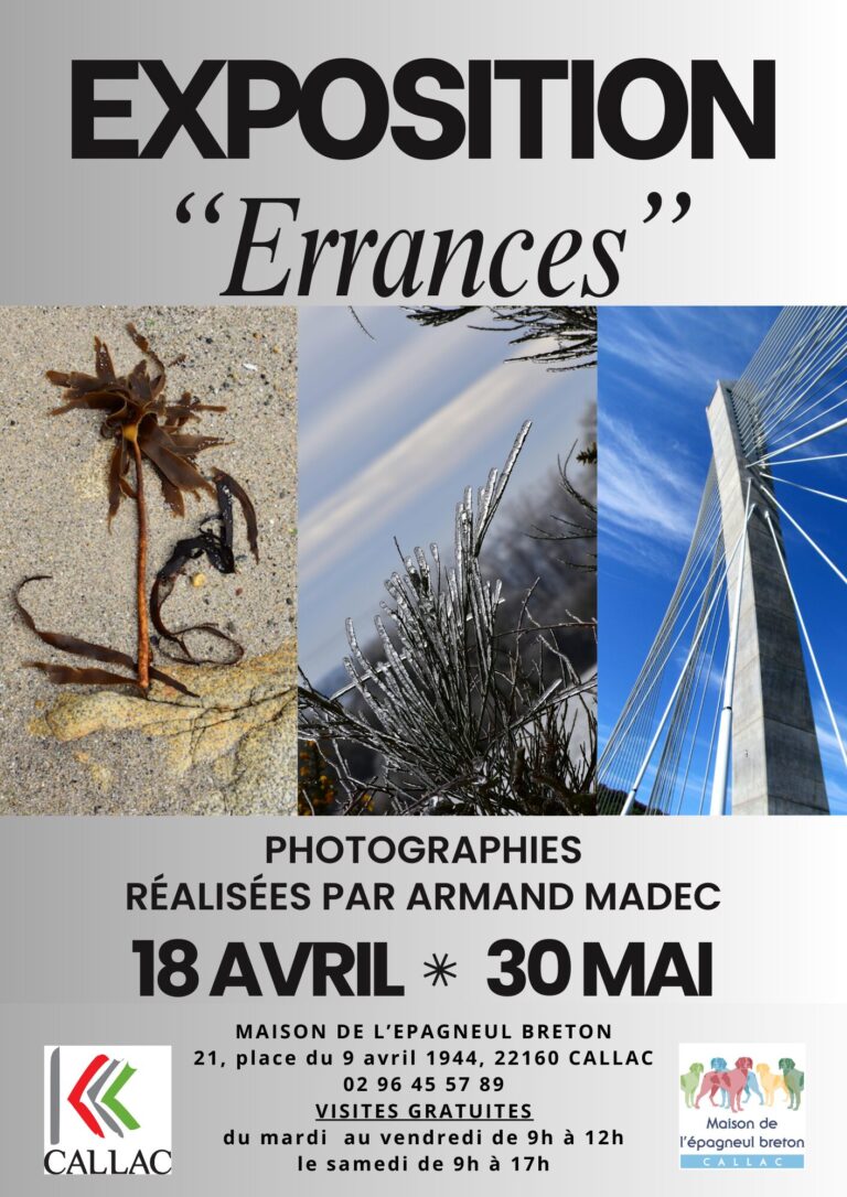 Exposition à la maison de l&rsquo;épagneul breton