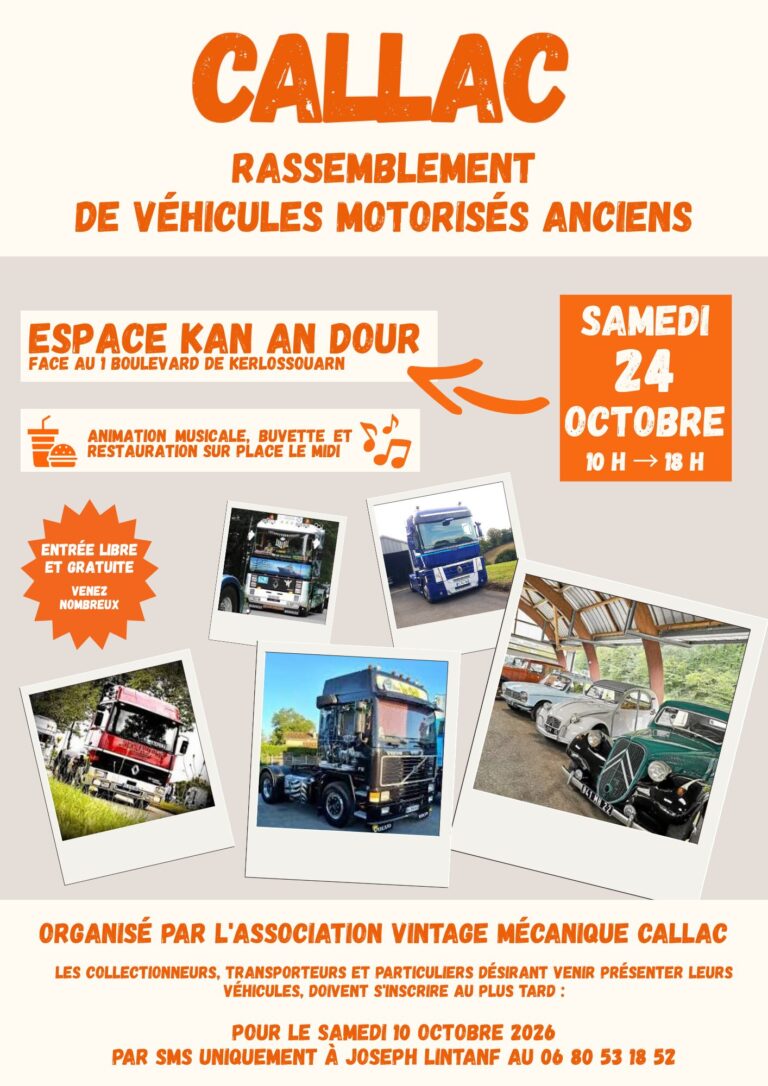 Rassemblement de véhicules motorisés anciens